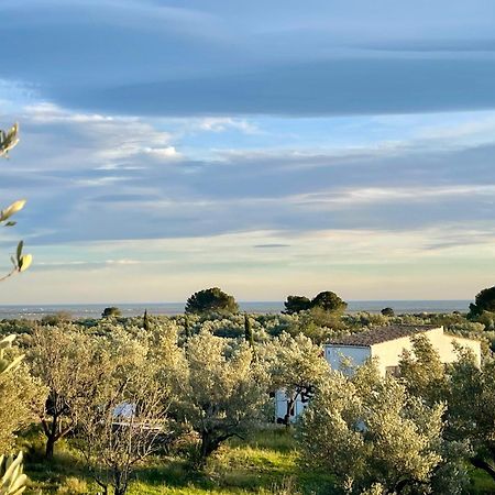 Can Mimosa Τορτόζα Εξωτερικό φωτογραφία