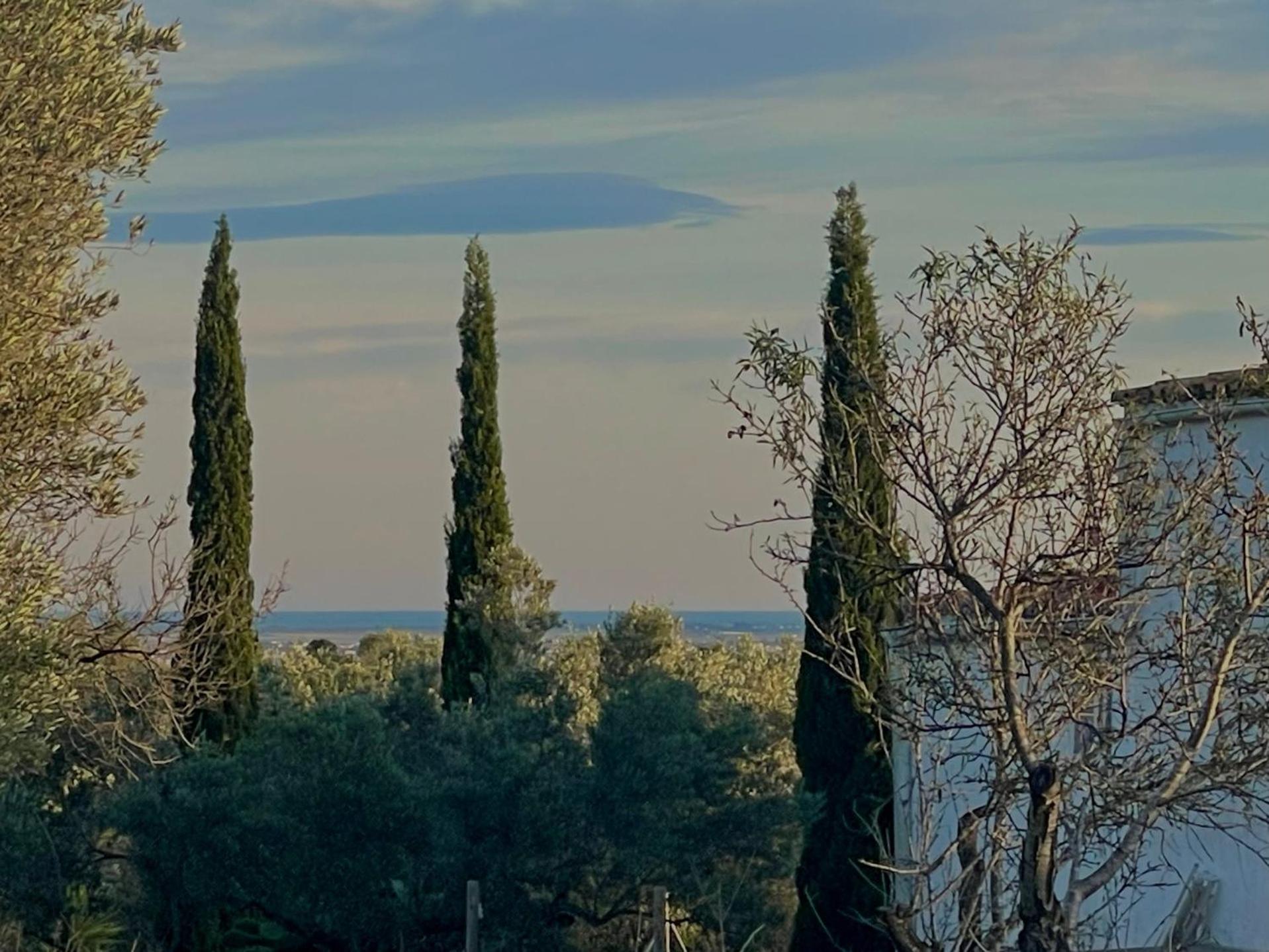 Can Mimosa Τορτόζα Εξωτερικό φωτογραφία