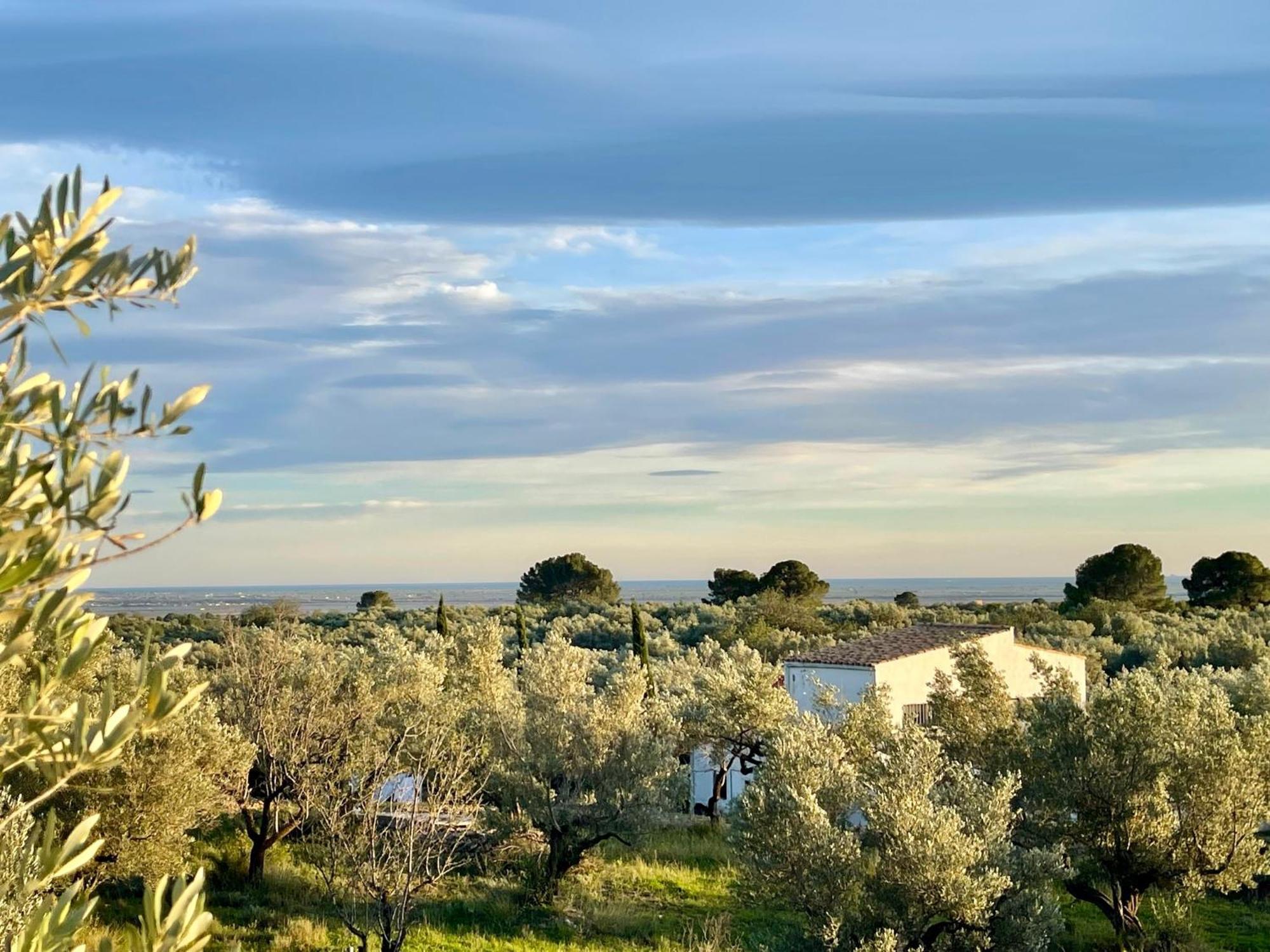 Can Mimosa Τορτόζα Εξωτερικό φωτογραφία